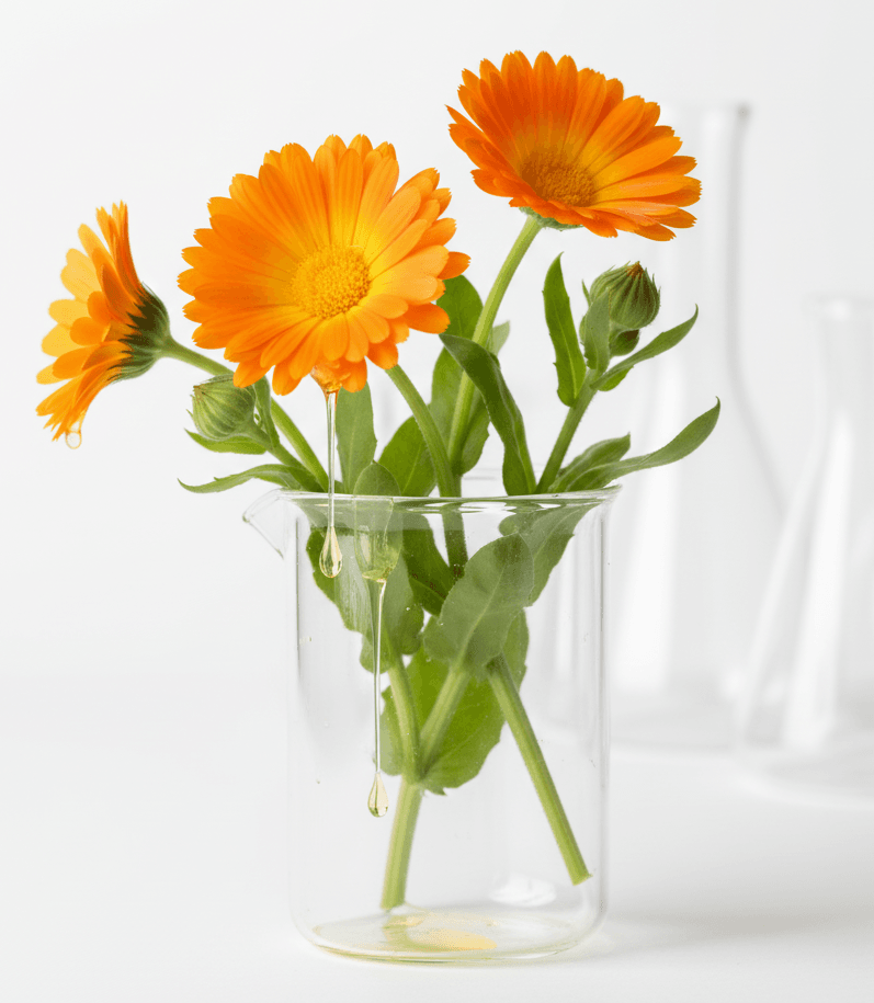 Neven prirodna kozmetika